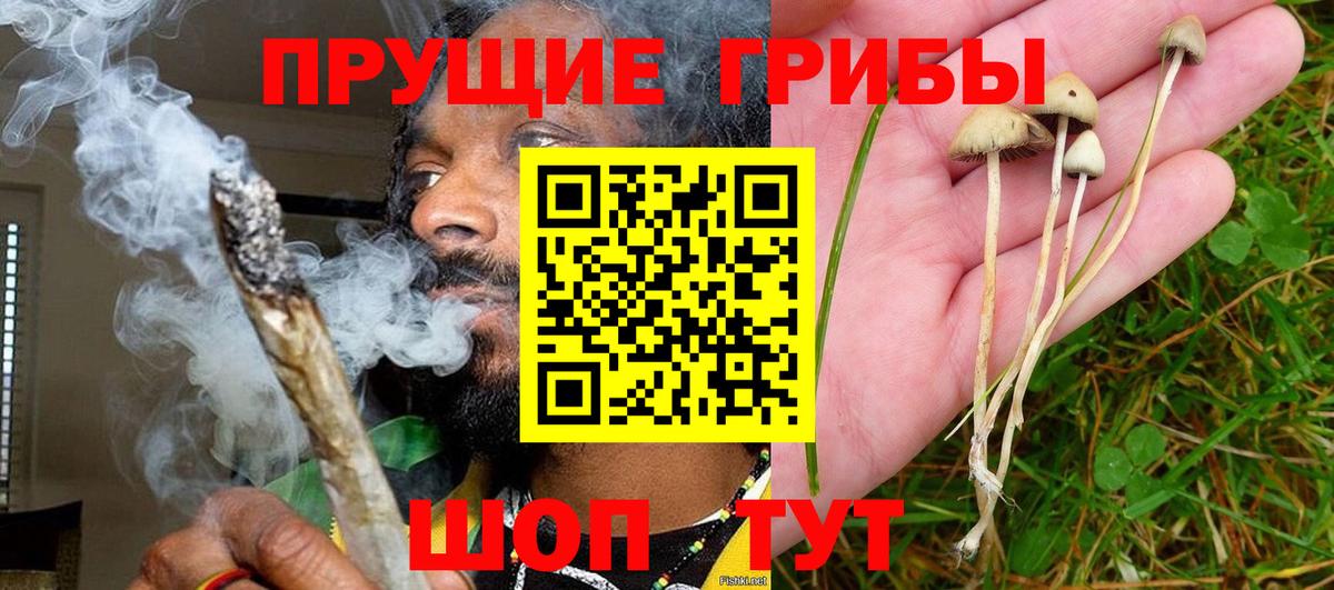 Галлюциногенные грибы мухоморы Ростов-на-Дону