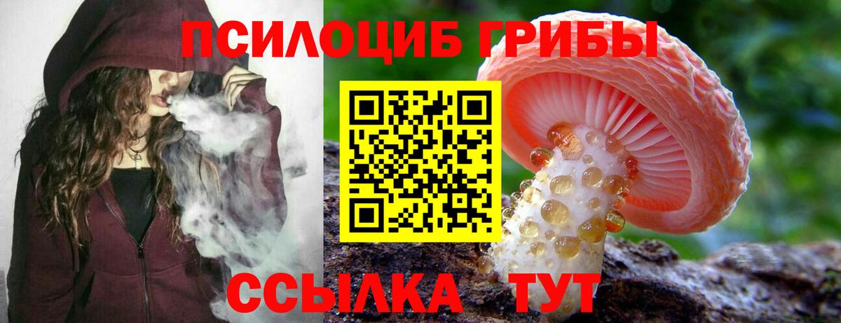 Ростов-на-Дону  Галлюциногенные грибы прущие грибы  Вход с VPN  Галлюциногенные грибы Psilocybe 